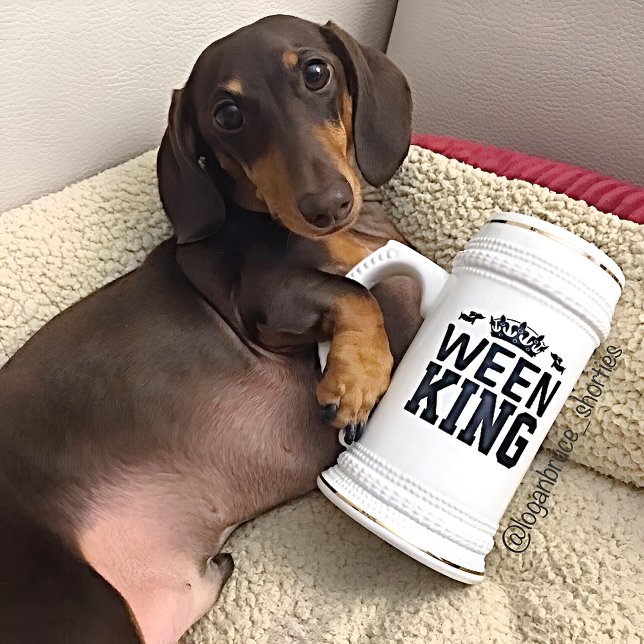 Ween King Dackel Vater Stein Tasse - Vatertag (Big dachshund dad mug to show who's king of the house...or at least let the human think he is :-))