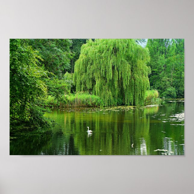 Weeping Willow Poster (Vorne)