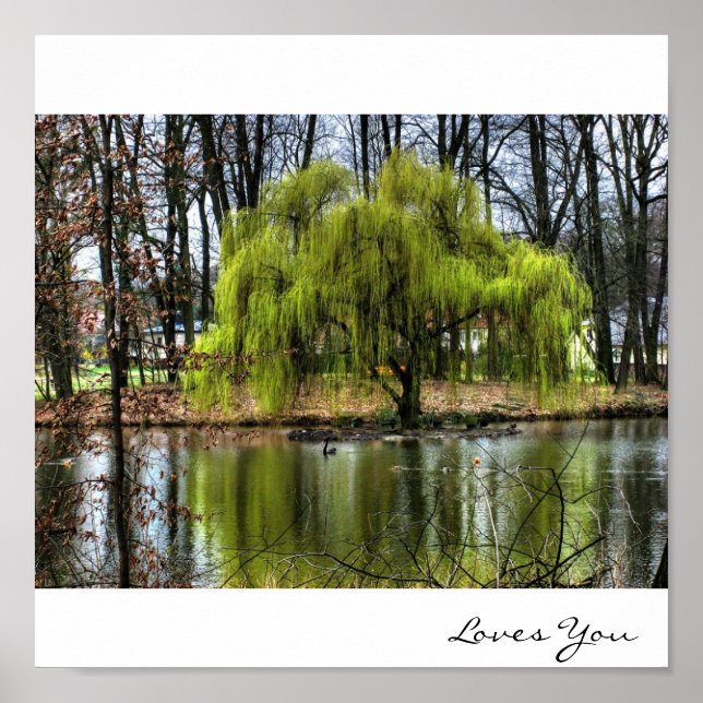 Weeping Willow Poster (Vorne)