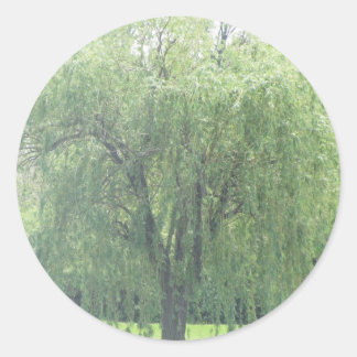Weeping WIllow Runder Aufkleber