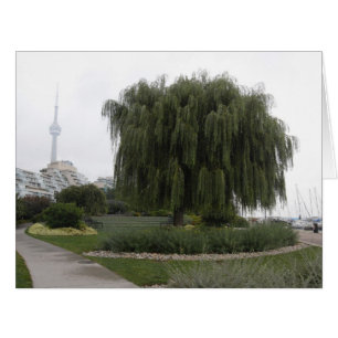 Weeping Willow Toronto BIG