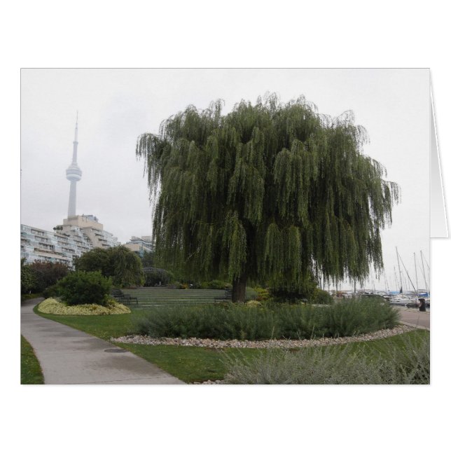 Weeping Willow Toronto BIG (Vorderseite (Horizontal))