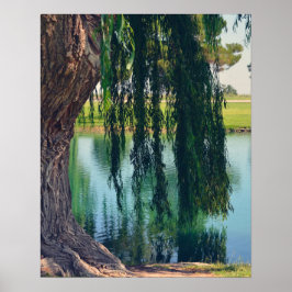 Weeping Willow Tree 20" x 16" Poster Paper (Matte)