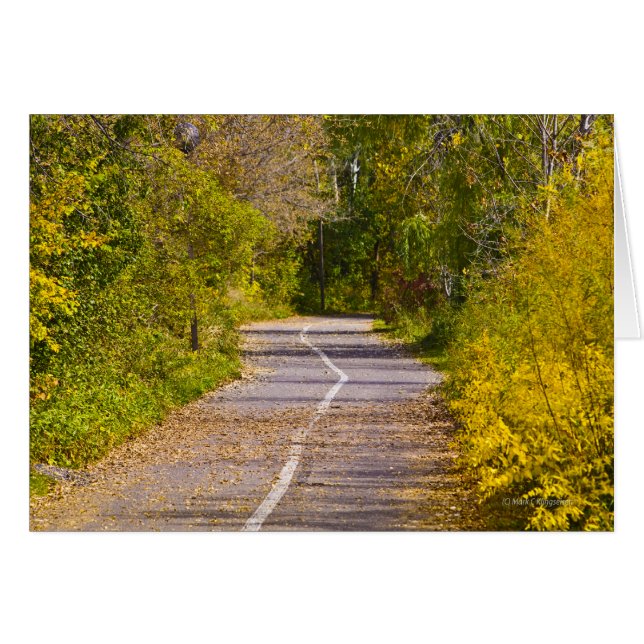 Weg (Vorderseite (Horizontal))