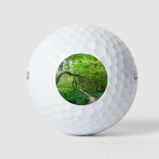 Weg Ancient Groves im Olympic-Nationalpark Golfball