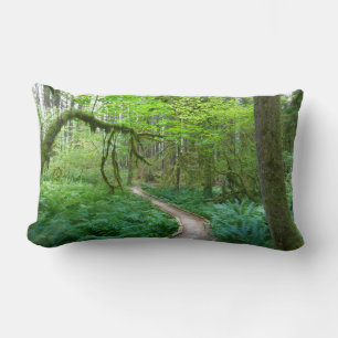 Weg Ancient Groves im Olympic-Nationalpark Lendenkissen