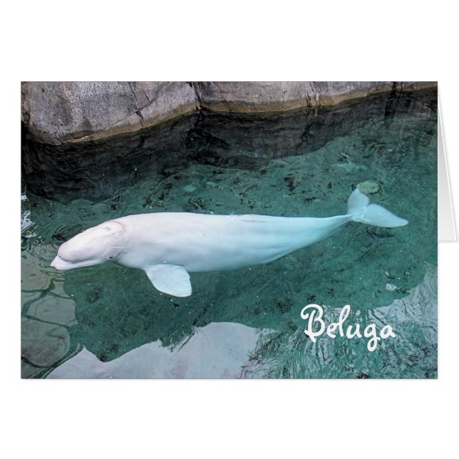 Weg auf der wilden Seite (Vorderseite (Horizontal))