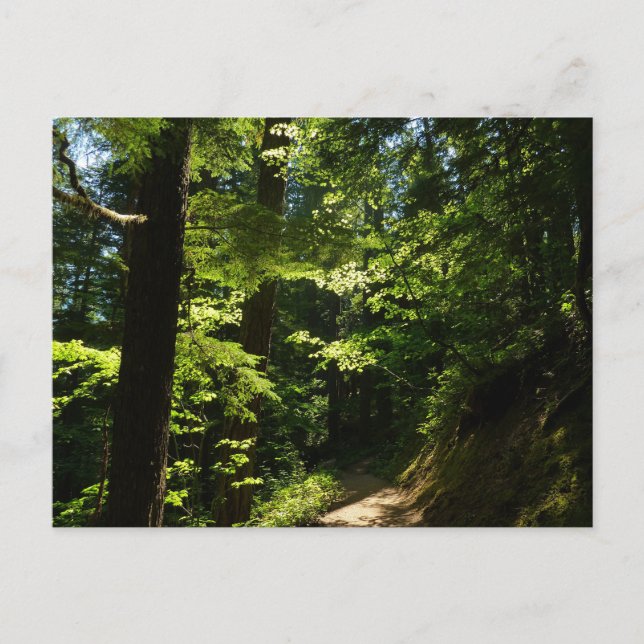 Weg aus dem Silberfall Postkarte (Vorderseite)