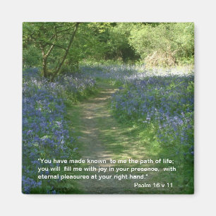 Weg des Lebens - Magnet der Bluebells-