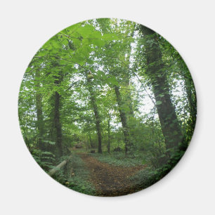 Weg durch das Magnet des grünen Waldes