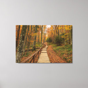 Weg durch den Herbstwald. Leinwanddruck