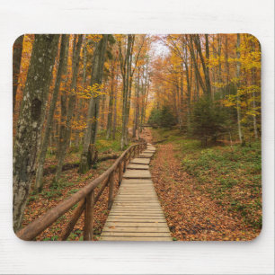 Weg durch den Herbstwald. Mousepad