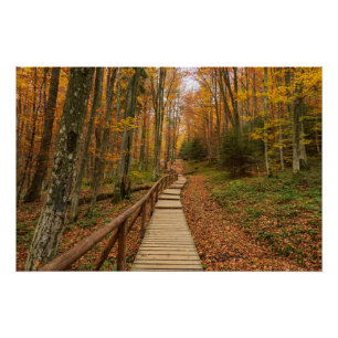 Weg durch den Herbstwald. Poster