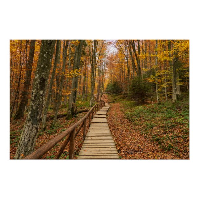 Weg durch den Herbstwald. Poster (Vorderseite)