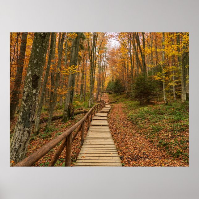 Weg durch den Herbstwald. Poster (Vorne)