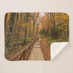 Weg durch den Herbstwald. Sherpadecke