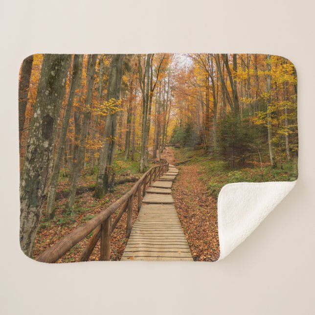 Weg durch den Herbstwald. Sherpadecke (Vorderseite (Horizontal))