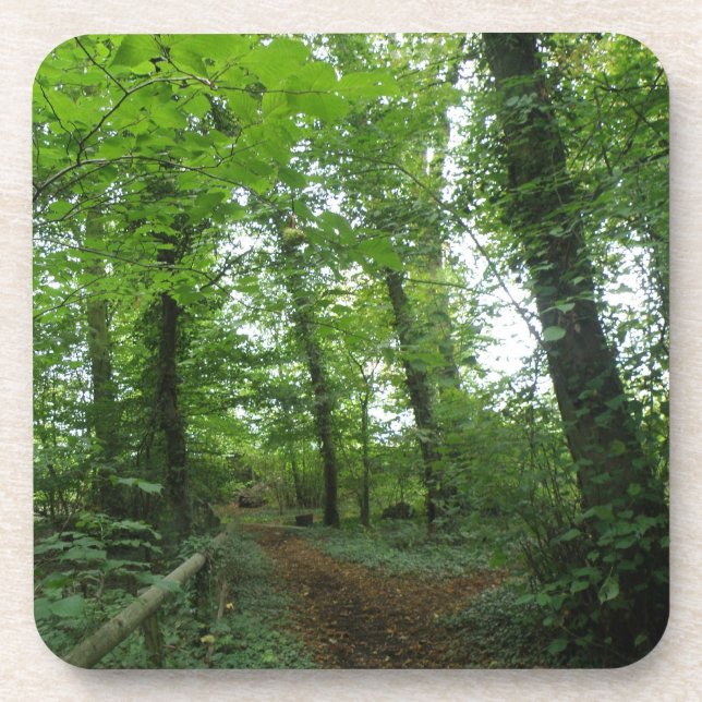 Weg durch den Untersetzer des Grünwaldkorks (Vorderseite)