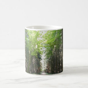 Weg durch den Wald Kaffeetasse