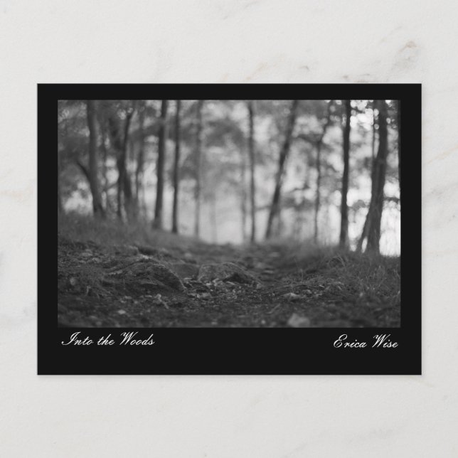 Weg durch den Wald Postkarte (Vorderseite)
