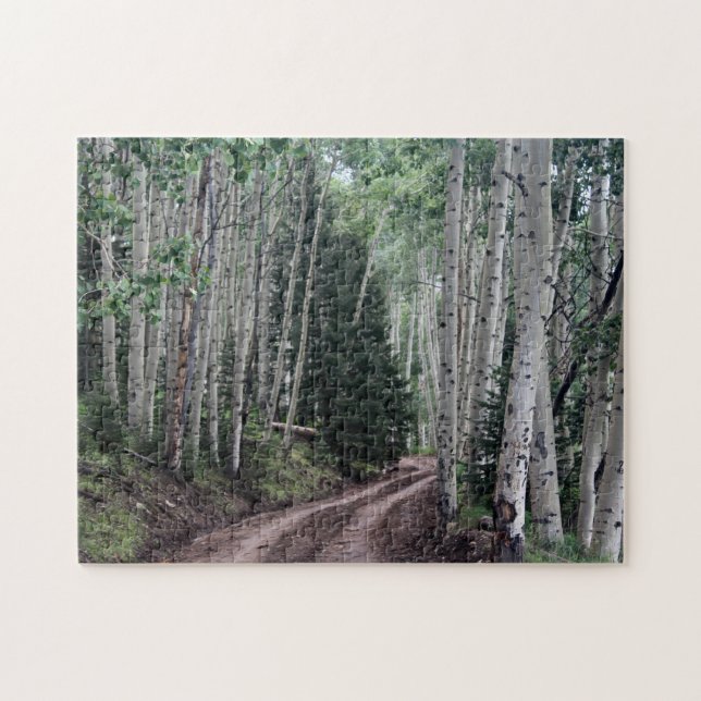 Weg durch die Birke (Horizontal)