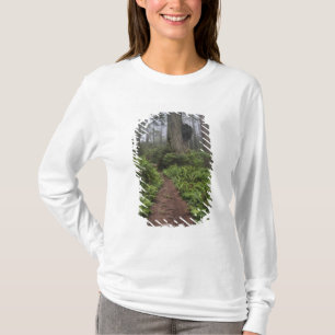 Weg durch die riesigen Rotholzbäume 2 T-Shirt
