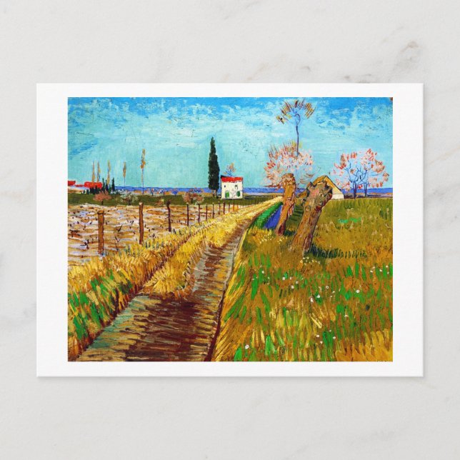 Weg durch ein Feld mit Willows Van Gogh Postkarte (Vorderseite)
