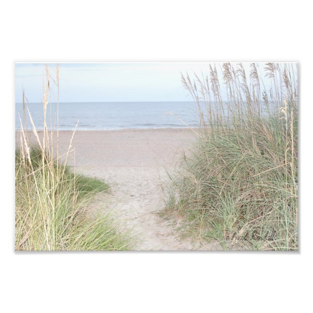 Weg durch Sanddünen Fotodruck (Vorne)