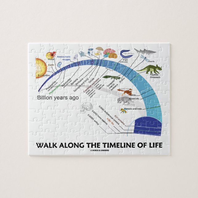 Weg entlang dem Timeline der (Horizontal)