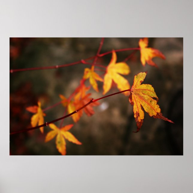 Weg Herbst Poster Print (Vorne)