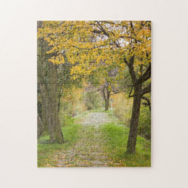 Weg im Herbst (Vertikal)