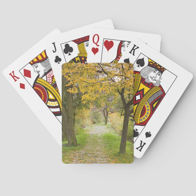 Weg im Herbst Spielkarten (Rückseite)