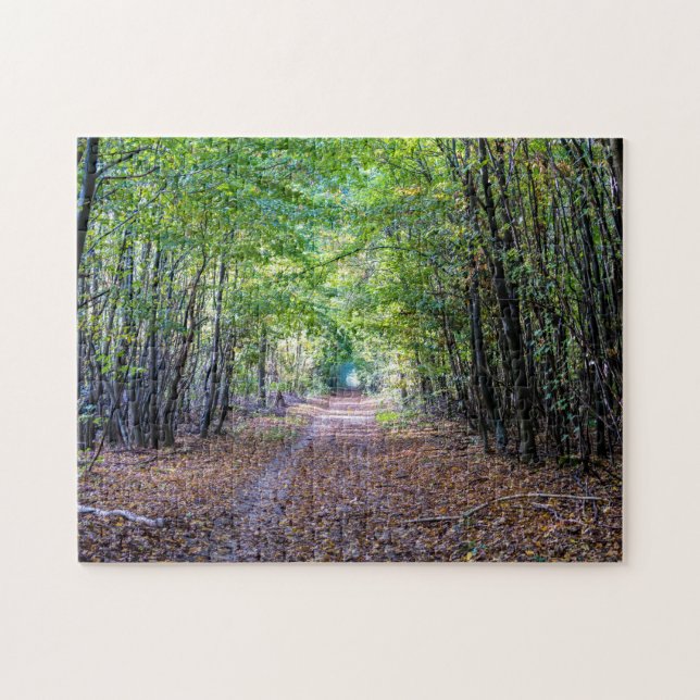 Weg im Herbstwald, Saint Germain Wald (Horizontal)