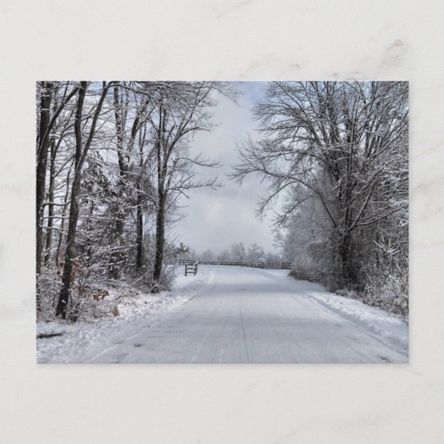 Weg in den Winter Postkarte (Vorderseite)