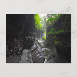 Weg in Watkins Glen, New York Postkarte