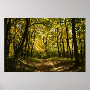 Weg Poster