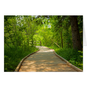 Weg von Bäumen gesäumt