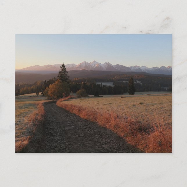 Weg zu Tatras Poster Postkarte (Vorderseite)