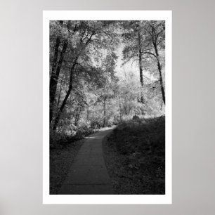 Weg zum Eichen-Nebenfluss Poster
