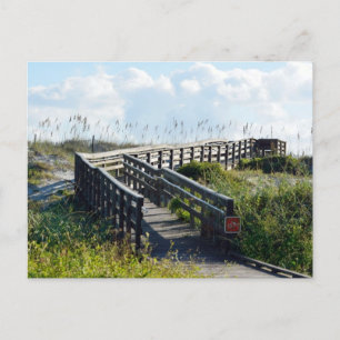 Weg zum Meer Postkarte