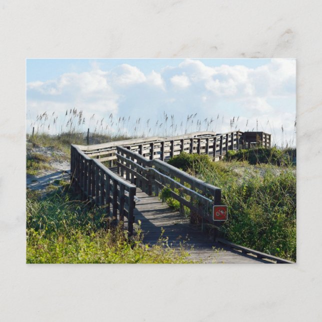 Weg zum Meer Postkarte (Vorderseite)