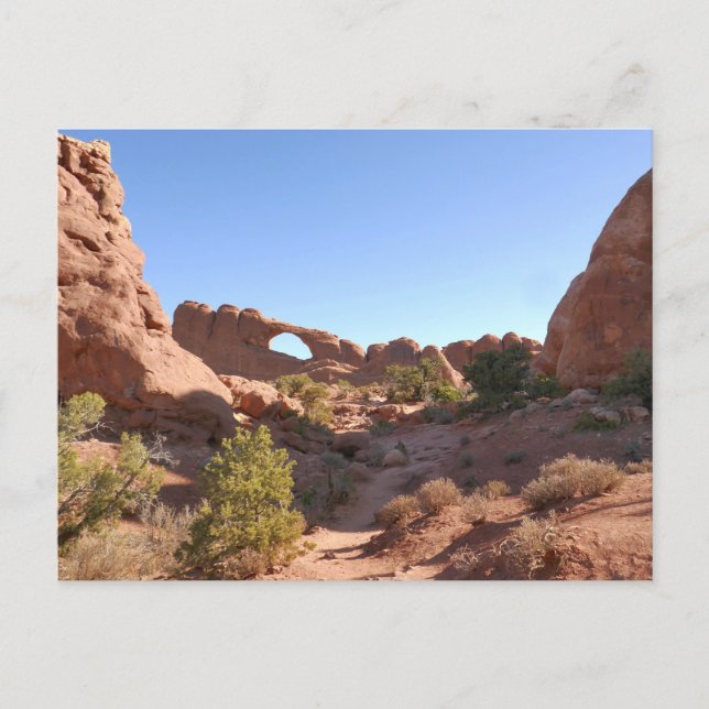 Weg zum Skyline Arch Postkarte (Vorderseite)