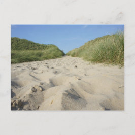 Weg zum Strand durch Strandhafer Postkarte