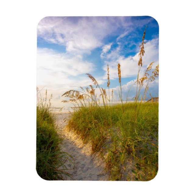 Weg zum Strand Magnet (Vertikal)