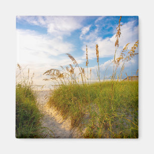 Weg zum Strand Magnet