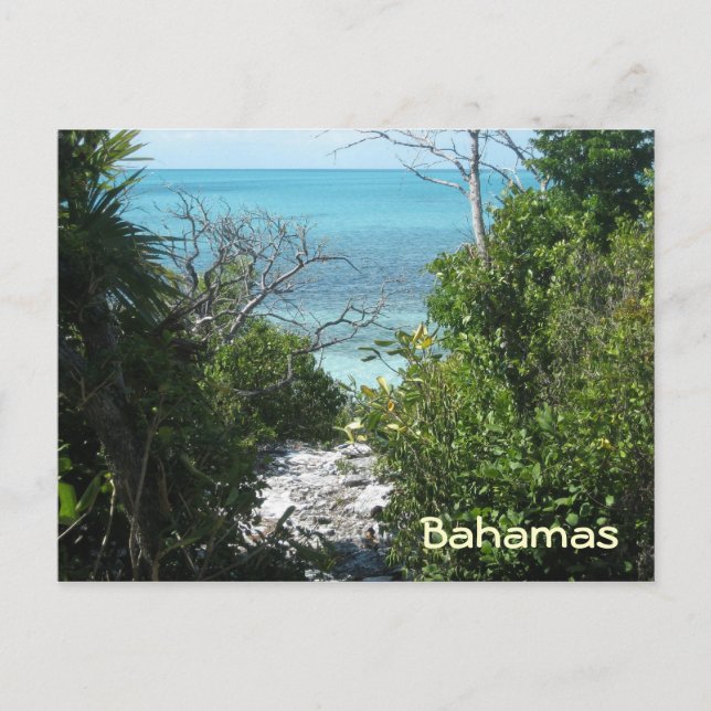 Weg zum Strand Postkarte (Vorderseite)