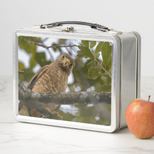 Wege-Habicht, Tierische Vogelphotographie Metall Brotdose