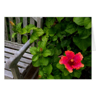 Wegerzyn Garten-Center #30