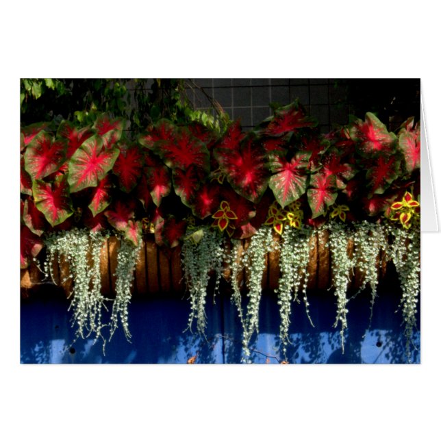 Wegerzyn Garten-Center #34 (Vorderseite (Horizontal))