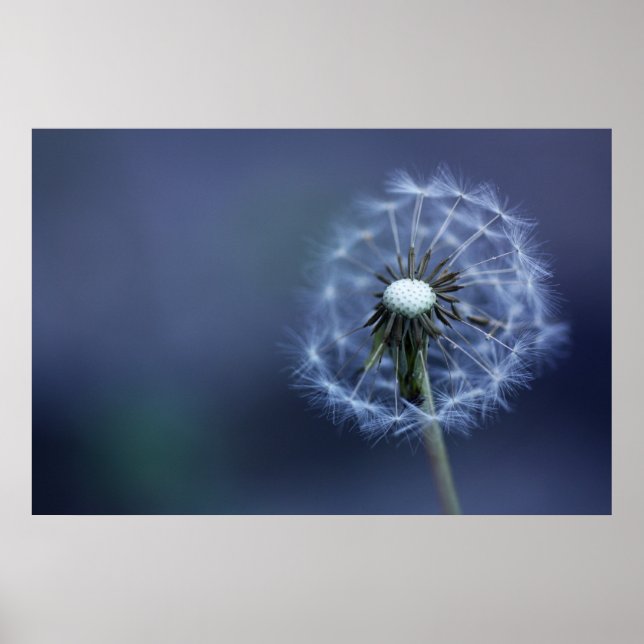 weggeblasen poster (Vorne)